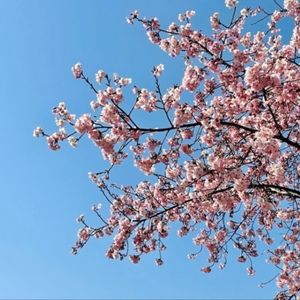 Meet your Posher, Audrey